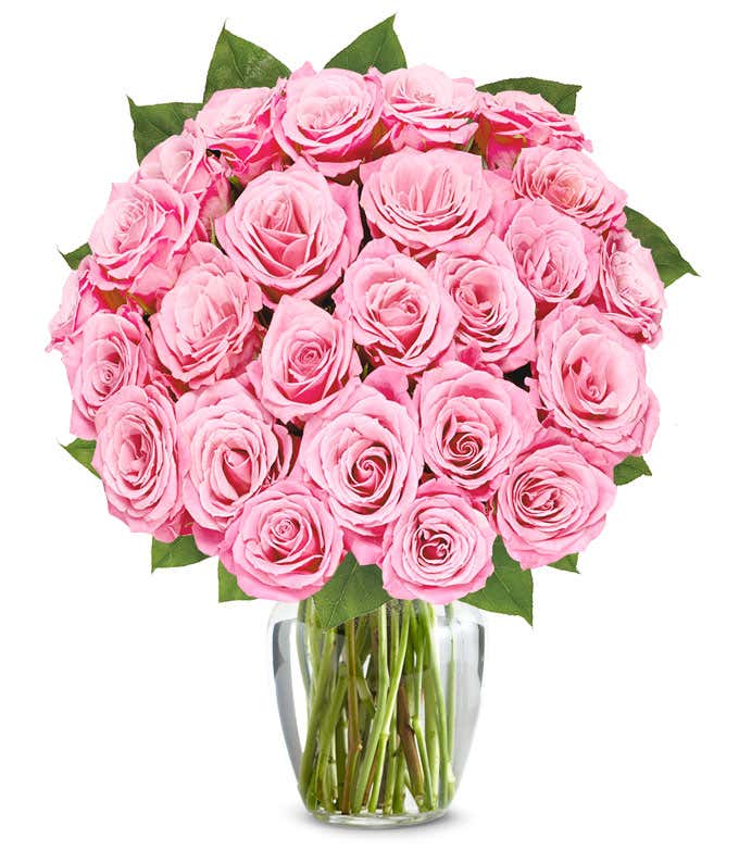 Two dozen long stem pink roses