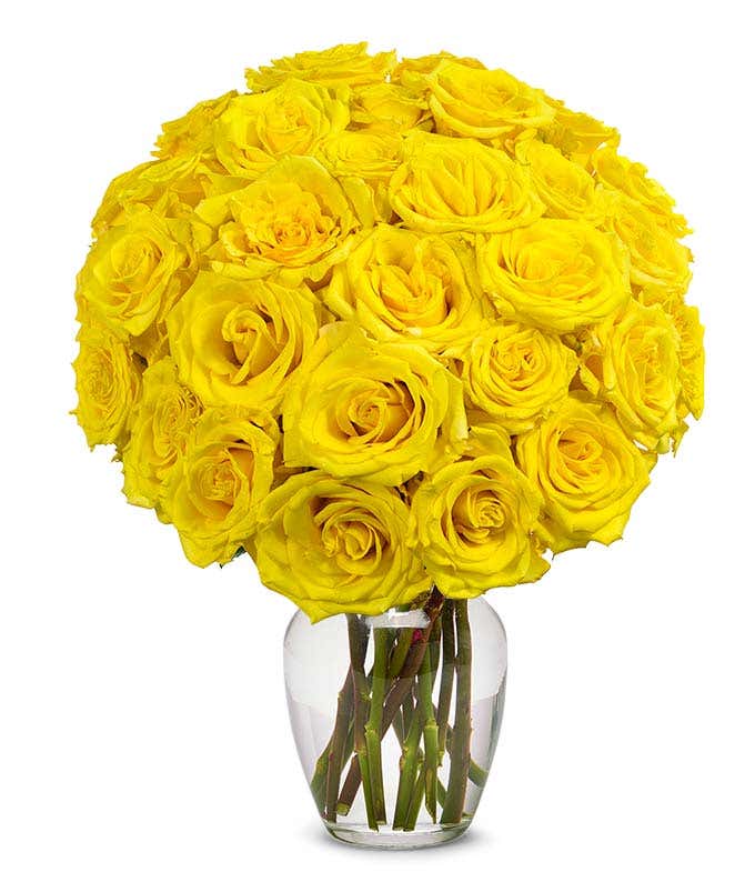 Next day delivery of yellow roses