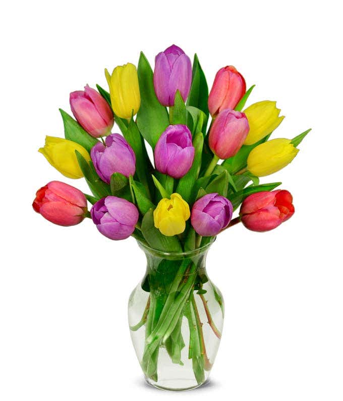 Pastel tulip bouquet with purple tulips and light pink tulips