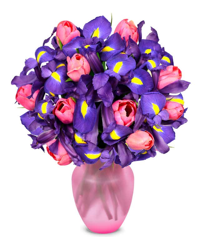 Pink tulips delivered with blue iris flowers