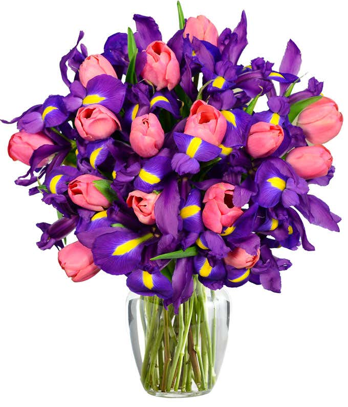 Pink tulips arranged with blue iris flowers for delivery