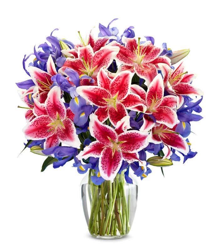 pink and white stargazer lilies with blue/purple iris in a clear glass vase