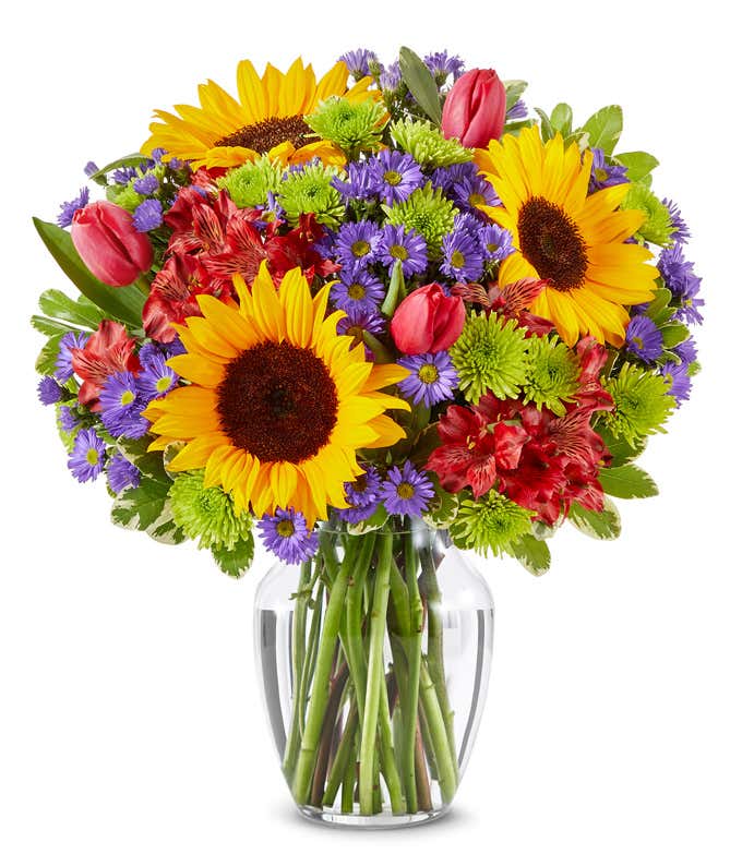 A vibrant arrangement featuring sunflowers, pink tulips, red alstroemeria, purple Monte Casino asters, and green poms, optionally arranged in a glass vase. This lively mix offers a bright and cheerful display.