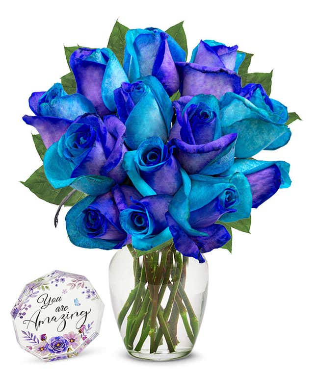 one dozen roses dyed half bright half dark blue in a clear glass vase