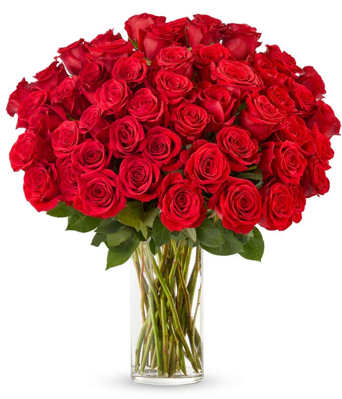 Stunning bouquet of numerous red roses, tightly arranged in a clear glass vase, creating a rich and luxurious floral display.