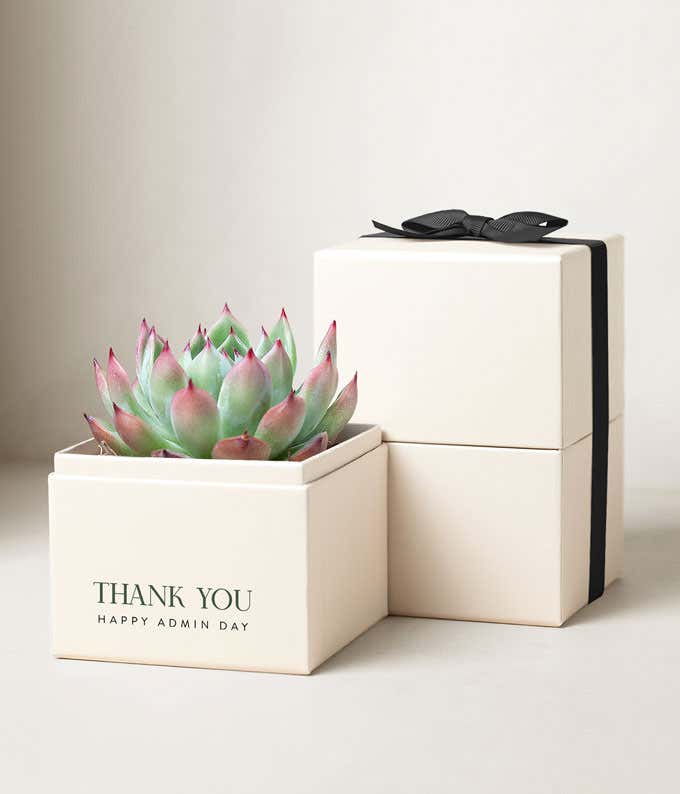 Lula's Garden ® Admin Day Bliss Box