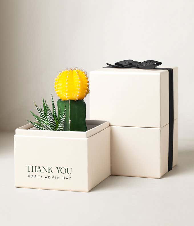 Lula's Garden ® Admin Day Ray Garden