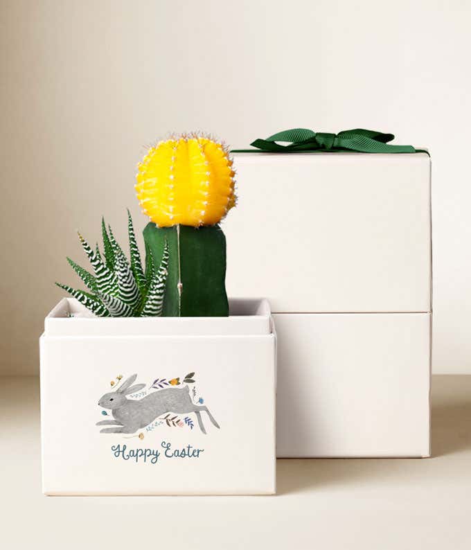 Lula's Garden ® Easter Ray Garden