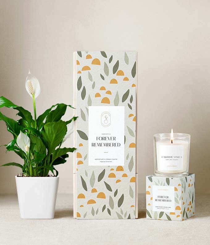 Sympathy gift set featuring a peace lily plant in a white ceramic planter, a citrus blossom scented candle, and a decorative gift box with a leaf and sun pattern labeled Forever Remembered