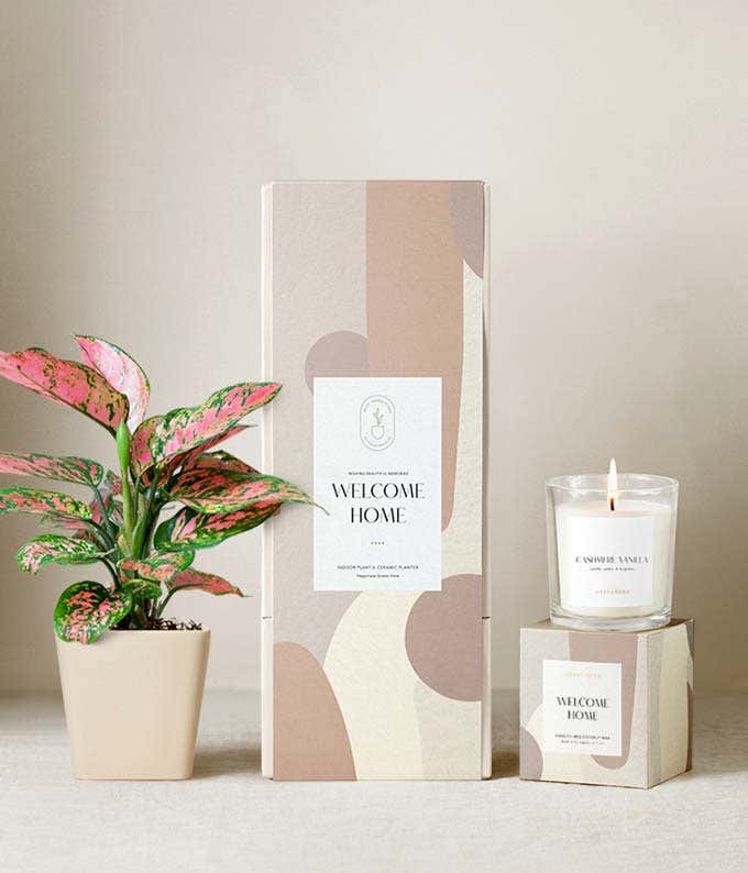Housewarming gift set featuring a pink and green aglaonema plant in a beige ceramic planter, a citrus blossom scented candle, and a beige and blush abstract-patterned gift box labeled Welcome Home