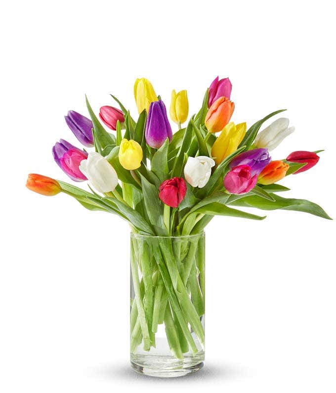 Assorted tulips in a clear vase.