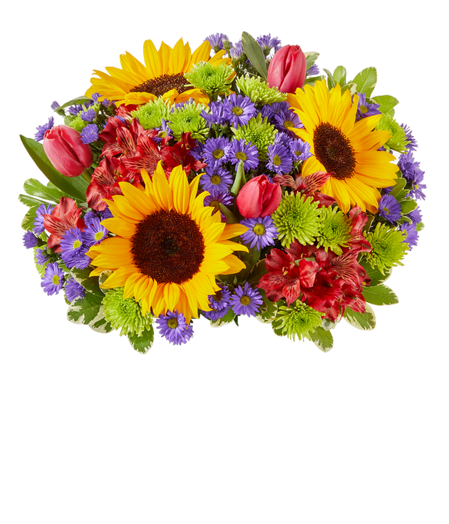 Partial image of A vibrant arrangement featuring sunflowers, pink tulips, red alstroemeria, purple Monte Casino asters, and green poms, optionally arranged in a glass vase. This lively mix offers a bright and cheerful display. without vase.